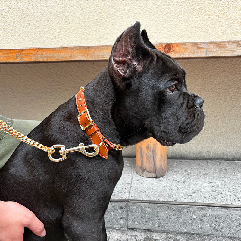 Loudik Wholesale Pet Collar Le - Leather Strap Quick Release reseña y precio