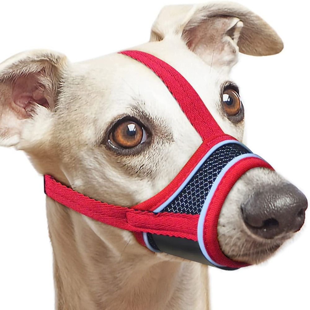 Soft Fabric Adjustable Strap P - Mesh Strap Metal reseña y precio
